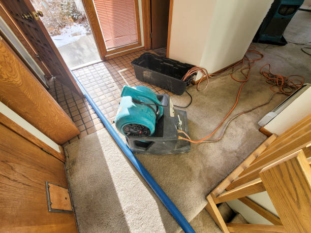 Best Flood Cleanup and Water Removal in Carbonville, UT