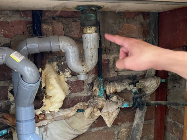 Best Plumbing Leak and Burst Pipe Cleanup in Carbonville, UT